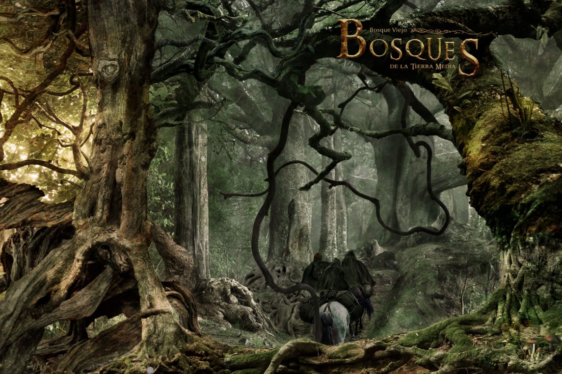 Portada de Bosque Viejo Mesa 2